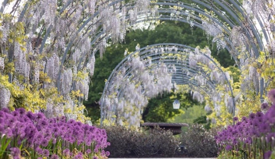 RHS Garden Wisley, United Kingdom